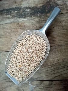 3,59€/kg 5kg Lupine Karo blau Bitterlupine blau Bienenweide Gründüngung - Bild 1 von 1