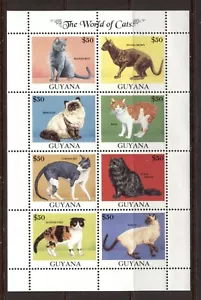 GUYANA 1992, DOMESTIC CATS, Scott 2588A, SHEET, MNH - Picture 1 of 1