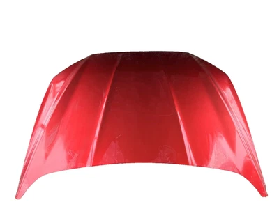 2013 – 2020 Ford Fusion Hood / Bonnet OEM  DS7Z-16612-B - Image 1 of 2