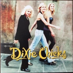 Dixie Chicks – Wide Open Spaces LP - VINYL ALBUM - SEALED NEW RECORD - Picture 1 of 2