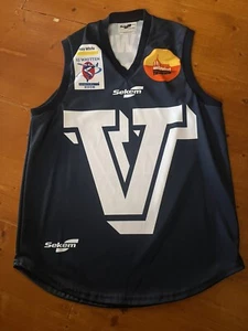 RARE DALE LEWIS 2008 VICTORIAN STATE EJ WHITTEN GAME WORN JUMPER - Bild 1 von 10