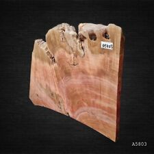 Tasmanian Myrtle Burl Craft Wood Woodworking Natural Live edge timber Blank slab