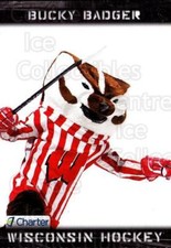 2011-12 Wisconsin Badgers Mens #28 Mascot