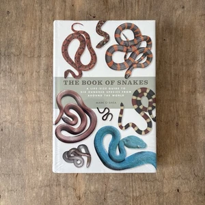 The Book of Snakes Life-Size Guide to Six Hundred Species Mark O’Shea Ivy Press - Foto 1 di 15