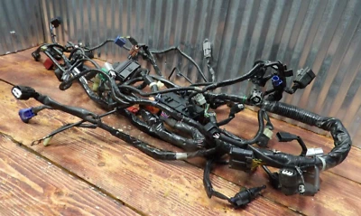 14-18 Honda CTX700N ABS ARNÉS DE CABLEADO PRINCIPAL TELAR DE ALAMBRE 32100-MJF-M24 Foto 1 de 4