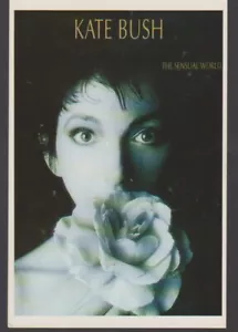 Kate Bush Carte Postale Postcard Postkarte X381 The Sensual World - Madcjay - Imagen 1 de 1