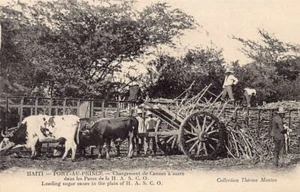 Haiti - Loading sugar canes in the plain of H.A.S.C.O. - Ed. Thérèse Montas - Picture 1 of 2