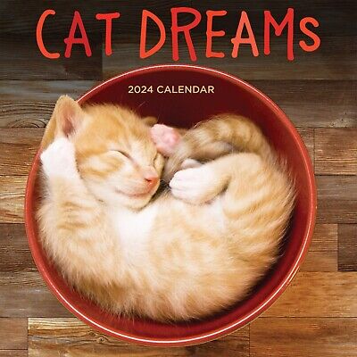 2024 Cat Dreams Wall Calendar • 16.99$