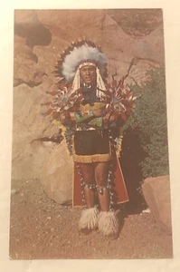North American Indian Chief In Full Dress Costume VTG Postcard - Picture 1 of 2