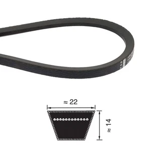 CINGHIA 22X6477 C 255 TRAPEZOIDALE - Picture 1 of 1