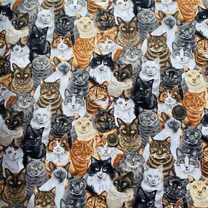 Kitty Cats Print 100% Craft Cotton Fabric for Pet Accessory Crafting Quilting UK