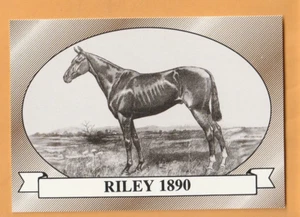 1991 Horse Star Kentucky Derby #16 Riley 5G - Picture 1 of 2