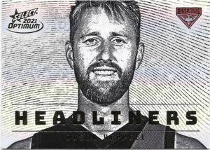 2021 Optimum Headliners (H21) Dyson HEPPELL Essendon 49/95 - Picture 1 of 1