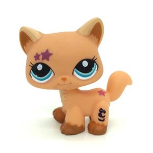 Littlest Pet Shop süße orange Maine Coon Walk Katze mit rosa Sternen blaue Augen #2258 - Bild 1 von 4