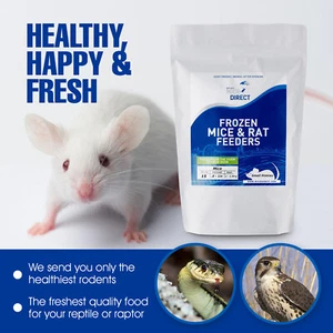 25 Frozen Feeder Mice Large Adults -FREE S&H -MiceDirect Rodents Reptiles Snakes - Picture 1 of 11