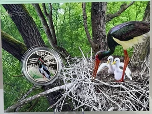 2024 Ucraina 5 Hryven Chernobyl Rinascimento Cicogna Nera Nichel Moneta in Cartoncino - Foto 1 di 13