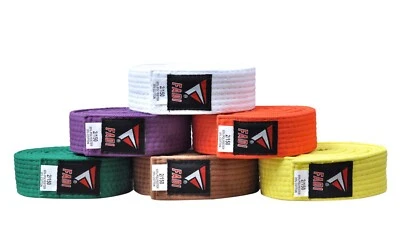 Taekwondo Karate Belt Martial Arts Uniform Rank Belt for Training & Sports - Image 1 of 4