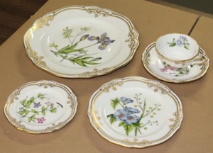 Plato de cena de flores Stafford de China de hueso fino Spode de 5 piezas - Imagen 1 de 7