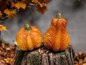 Pier 1 Pumpkin/Gourd Salt and Pepper Shakers Set - Fall Thanksgiving Decor - Picture 1 of 13