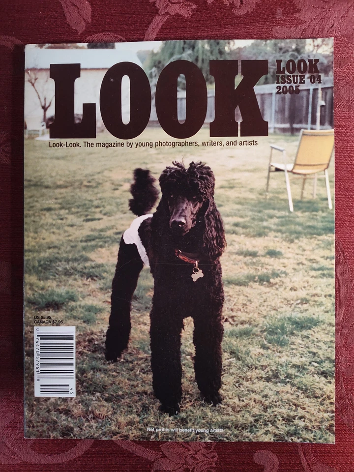 LOOK LOOK Art Magazine 2005 #4 Nick Darnstaedter Misty McElroy Sam Freilich Foto 1 de 1