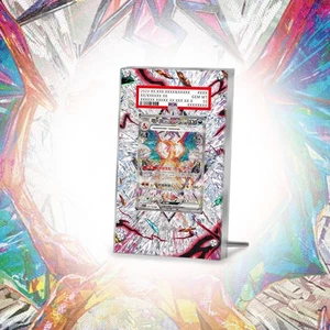 Charizard EX 134/108 Cornice Pokémon PSA Extended Artwork Display No Carta - Picture 1 of 8