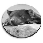 Round MDF Magnets - BW - Sleepy Tasmanian Devil Animal #38148