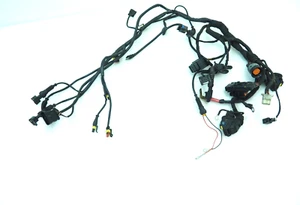 IMPIANTO ELETTRICO CABLAGGIO DUCATI MULTISTRADA DS 1000 2003/2006 - Imagen 1 de 10