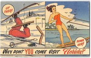 "Come Visit Florida" Wasserski vs. Skifahren Baden Schönheit 1953 Leinen Postkarte - Bild 1 von 2