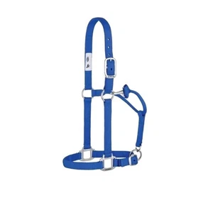Weaver Supporto Cavallo Anniversario Nylon Originale Non Regolabile, Taglia 1",Blu - Foto 1 di 11
