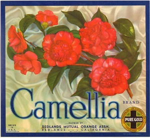 *Original* KAMELIE rote Blume REDLANDS orange Kiste Etikett KEINE KOPIE! - Bild 1 von 1