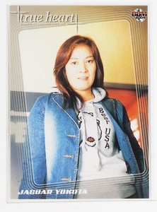 JAGUAR YOKOTA - 2004 BBM Women's Pro-Wrestling Trading Card - Picture 1 of 3