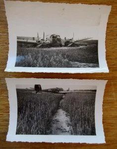2 alte Fotos notgelandetes deutsches Flugzeug Frankreich 1940 - Bild 1 von 2