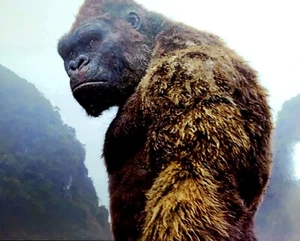 King Kong Werbefotos MENGE 4 Schädelinsel! ~ 2004 King Kong ~ 1933 Kong - Bild 1 von 4