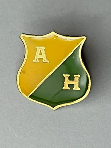 Pin ATLETICO HUILA-Neiva-COLOMBIASoccer/Football-Lapel/Badge- Los Opitas - Picture 1 of 2