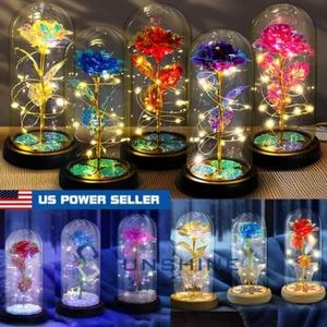 Rosa romantica incantata fiore a cupola vetro luce notturna LED anniversari regalo - Foto 1 di 114