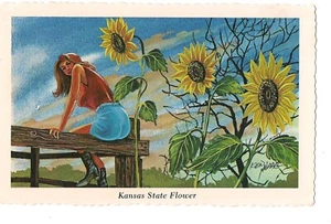 SUNFLOWER Kansas State Flower Art Ken HAAG Woman On Fence Postcard KS 1973 - Picture 1 of 2