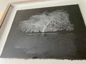 Limited Edition Serigraph Silkscreen Screen print A. Harley Willow Tree Large - Picture 1 of 22