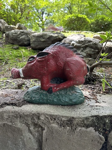 Vintage Arkansas Razorbacks Football Concrete Statue 15” PERFECT FOR YOUR YARD Cover