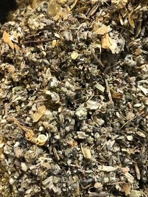 No.39 Mix -Lobelia Wild Lettuce Hops Lemon Balm Cali Poppy Mullein Passionflower - Image 1 of 4