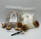 Shiitake Mushroom Plug Spawn 100x & drill bit/wax combo pack - FREE USA shipping