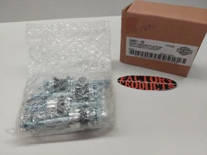 GENUINE HARLEY DAVIDSON Docking Hardware Kit with Saddlebag Supports 53821-00 - Picture 1 of 5