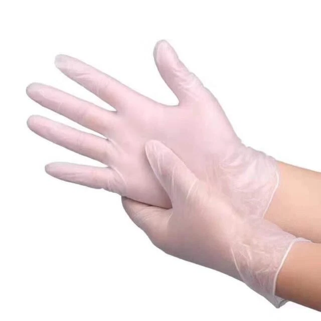 Shield Vinyl Powder-Free Disposable Gloves - Clear, Size M, Box of 100