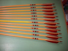 Used Wood field type arrows. 