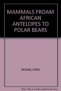 Mammals Froam African Antelopes To Polar Bears
