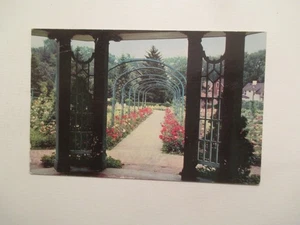 Syracuse New York Postcard Mills Rose Garden Thornden Park NY - Picture 1 of 2