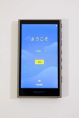 Sony Walkman 16 GB Serie A NW-A 105 G Modelo Internacional NW-A105 G - Imagen 1 de 4