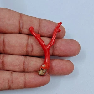 Rama de coral rojo italiano de piedra preciosa suelta áspera pulida coral marino natural de colección - Imagen 1 de 8