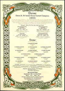 Derry All-Ireland Senior Football Champions 1993: GAA Print - Picture 1 of 1