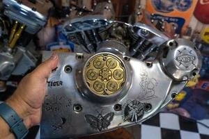 38 Special Early-2002 Sportster Latón Sólido Puntos Cubierta de distribución Harley Davidson - Imagen 1 de 7