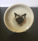 Staffordshire Tableware, Decorative Cat Plate. Silver Grey & Black Face.